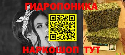 прущие грибы Пушкино