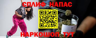 прущие грибы Пушкино