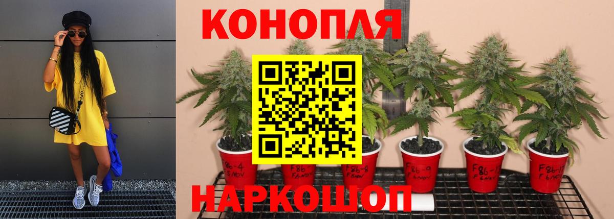 Павлово  Марихуана THC 21%  МАРИХУАНА VHQ  Бошки Шишки ГИДРОПОН  Вход с VPN  Шишки марихуана сатива 